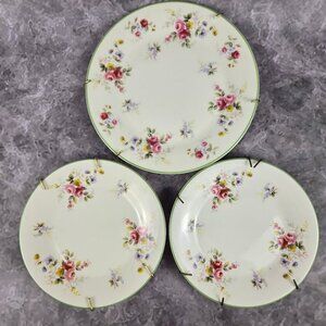 Vintage Royal Vale Set of 3 Plates Floral Green Rims Plate Hangers Attached